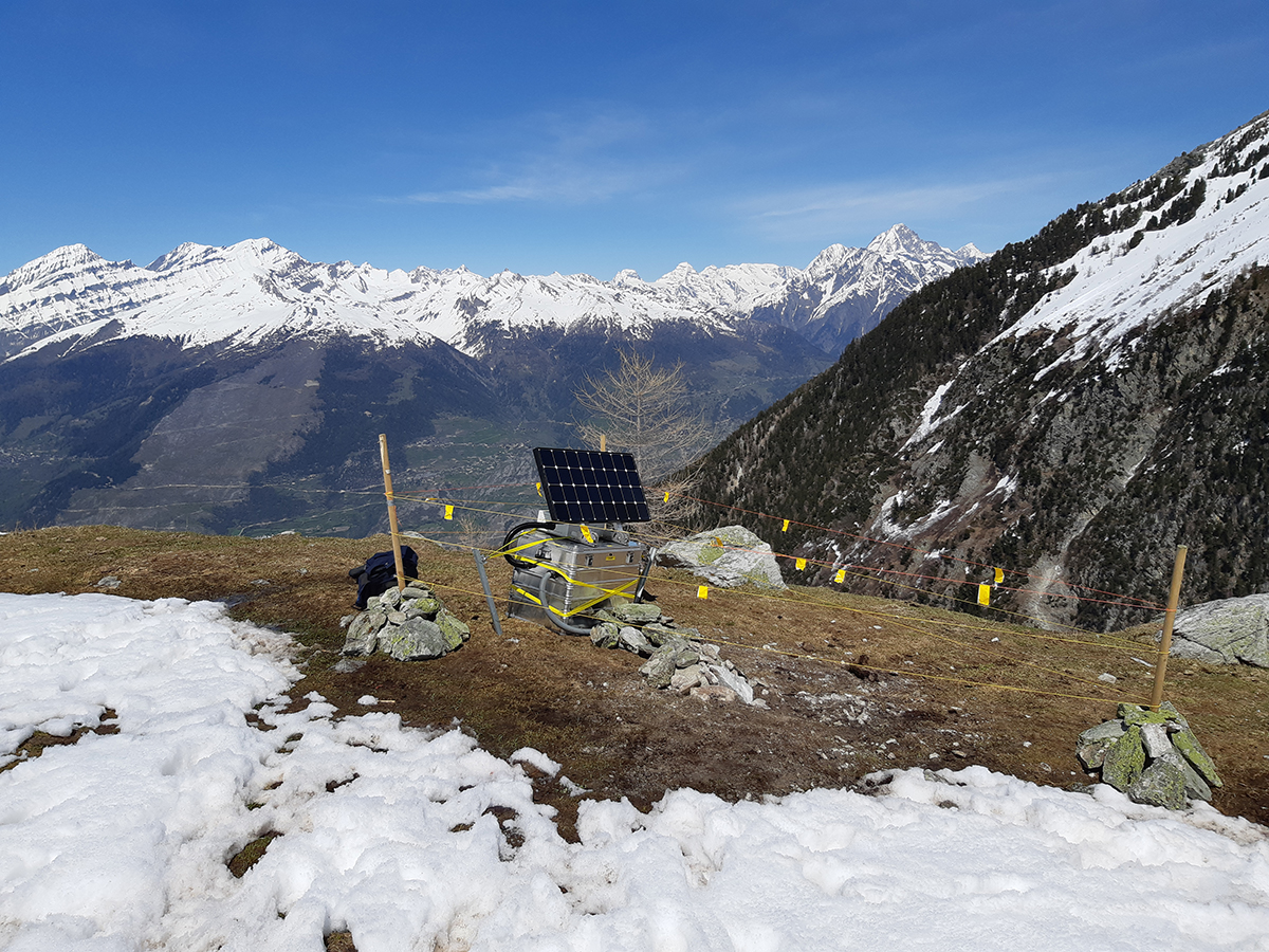 Rasche Massenbewegungen mit Seismometern überwachen