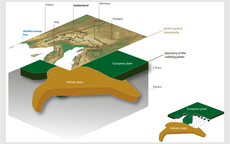 Three-dimensional representation of the Adriatic mantle lithosphere